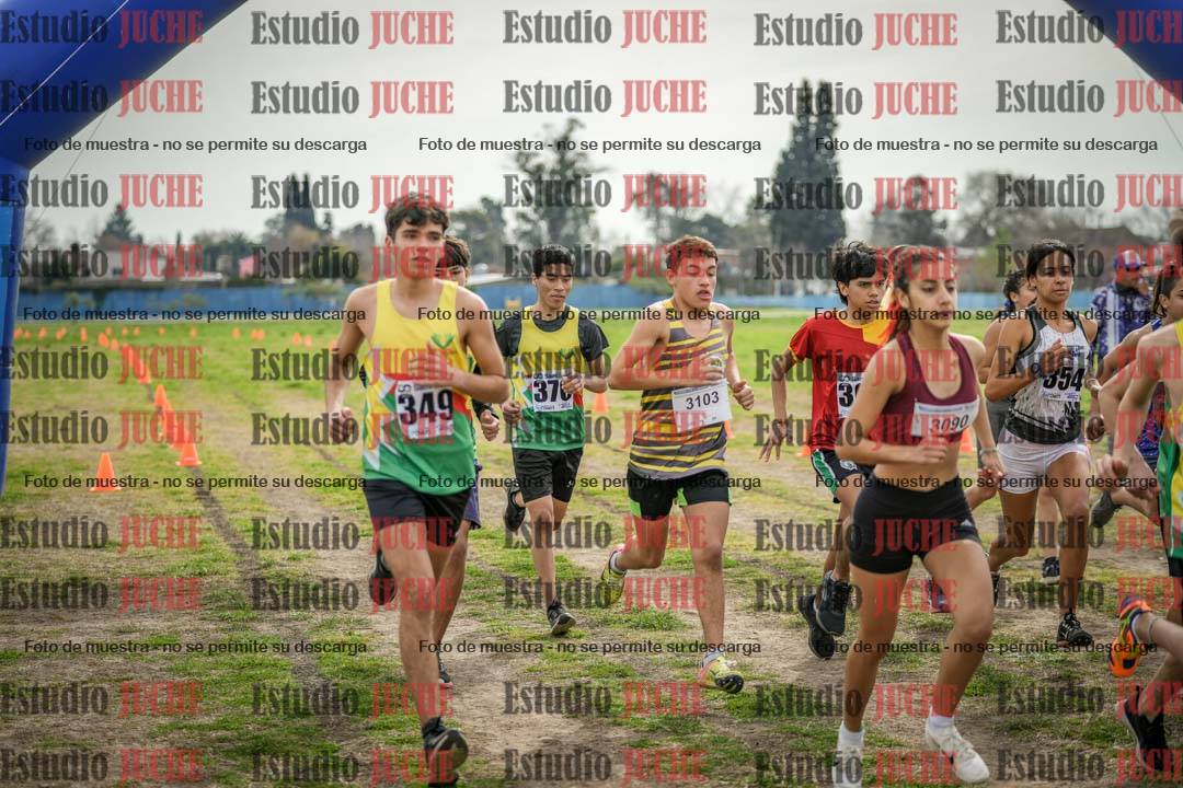 Fotos en de la largada