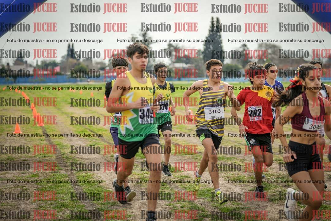 Fotos en de la largada