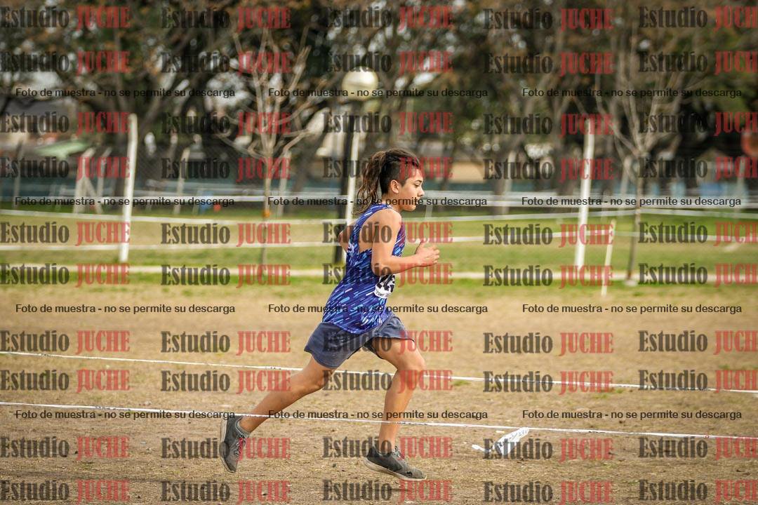 Fotos en el segundo punto del circuito