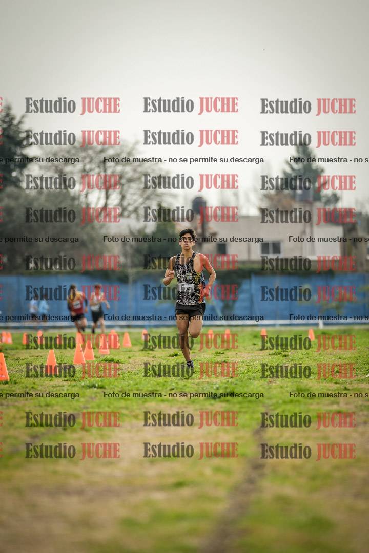 Fotos de la llegada del cross de 2000 m