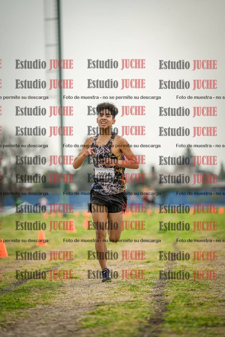 Fotos de la llegada del cross de 2000 m