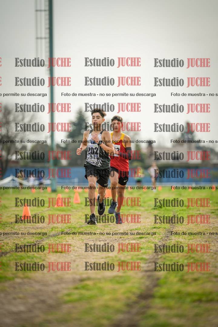 Fotos de la llegada del cross de 2000 m