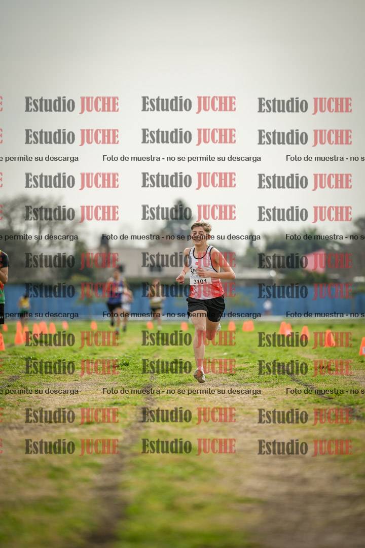 Fotos de la llegada del cross de 2000 m