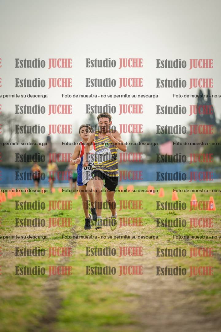 Fotos de la llegada del cross de 2000 m