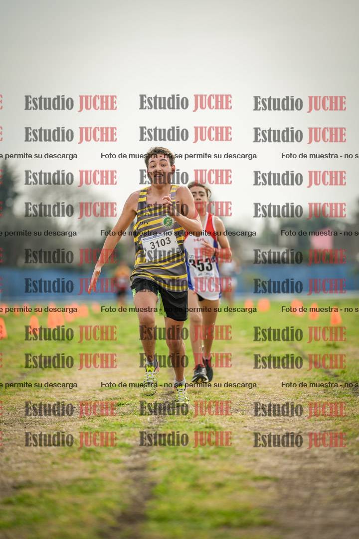 Fotos de la llegada del cross de 2000 m