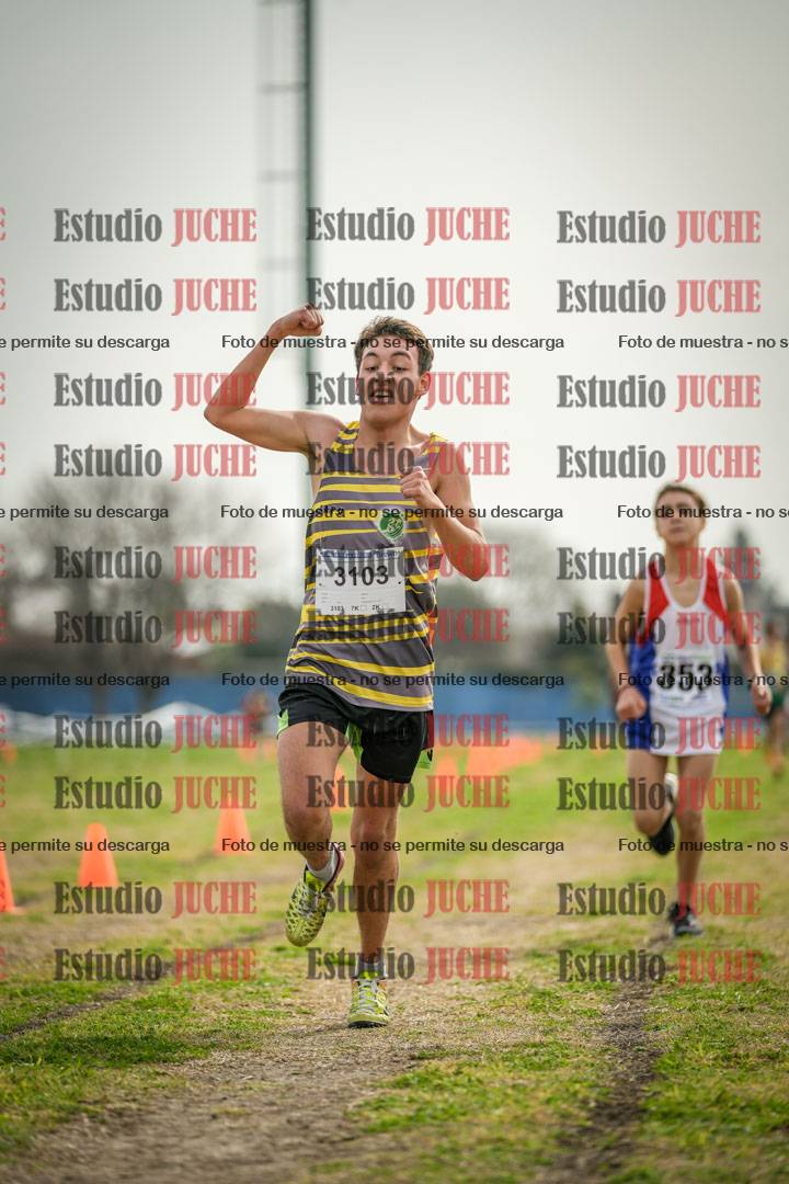 Fotos de la llegada del cross de 2000 m