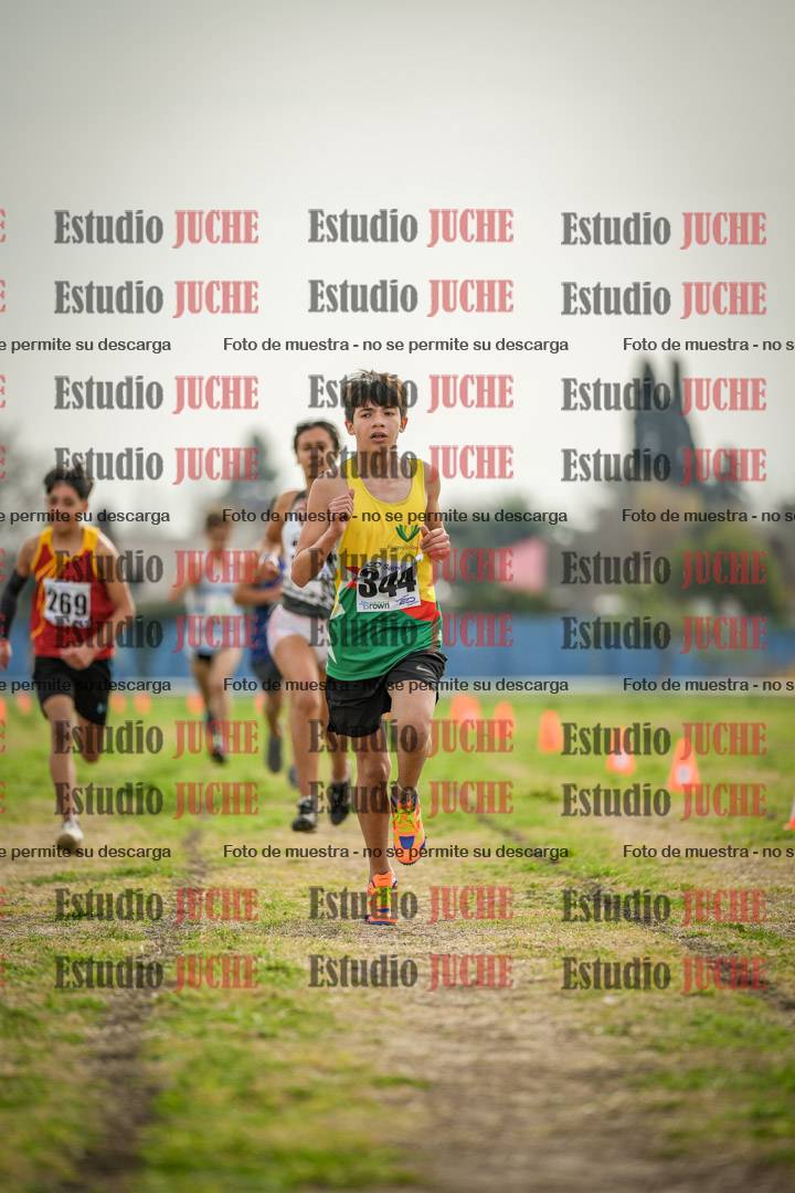 Fotos de la llegada del cross de 2000 m