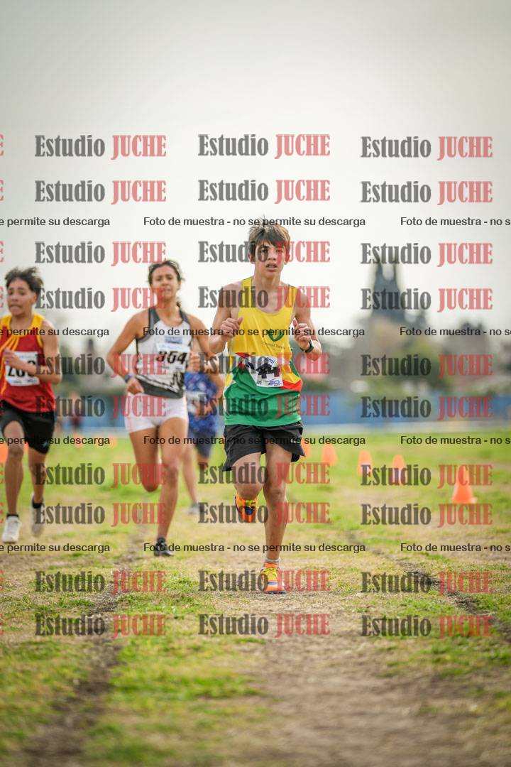 Fotos de la llegada del cross de 2000 m