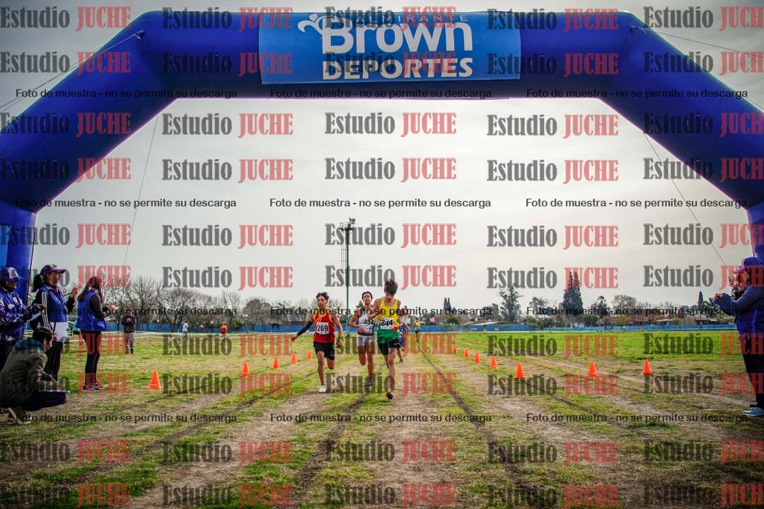Fotos de la llegada del cross de 2000 m