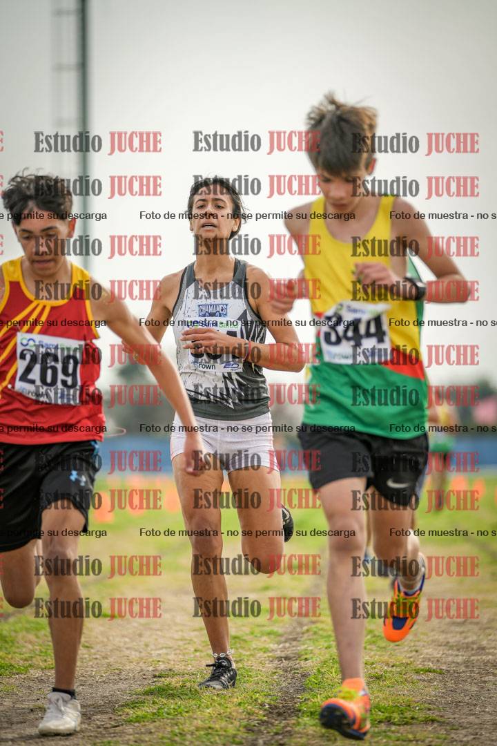 Fotos de la llegada del cross de 2000 m