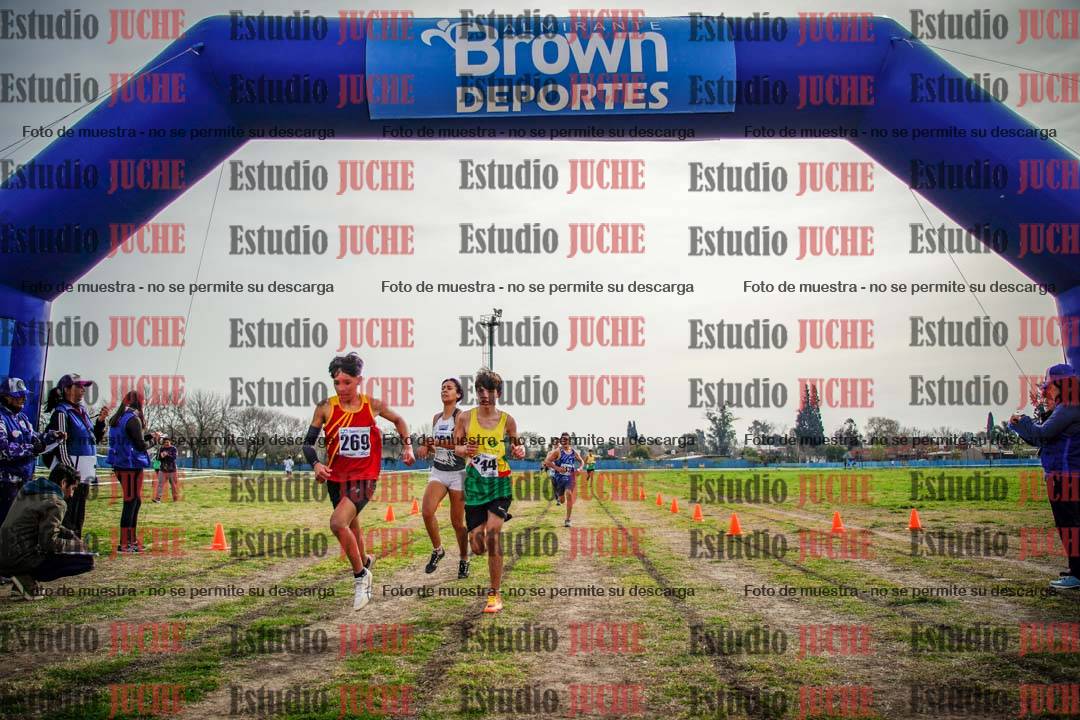 Fotos de la llegada del cross de 2000 m