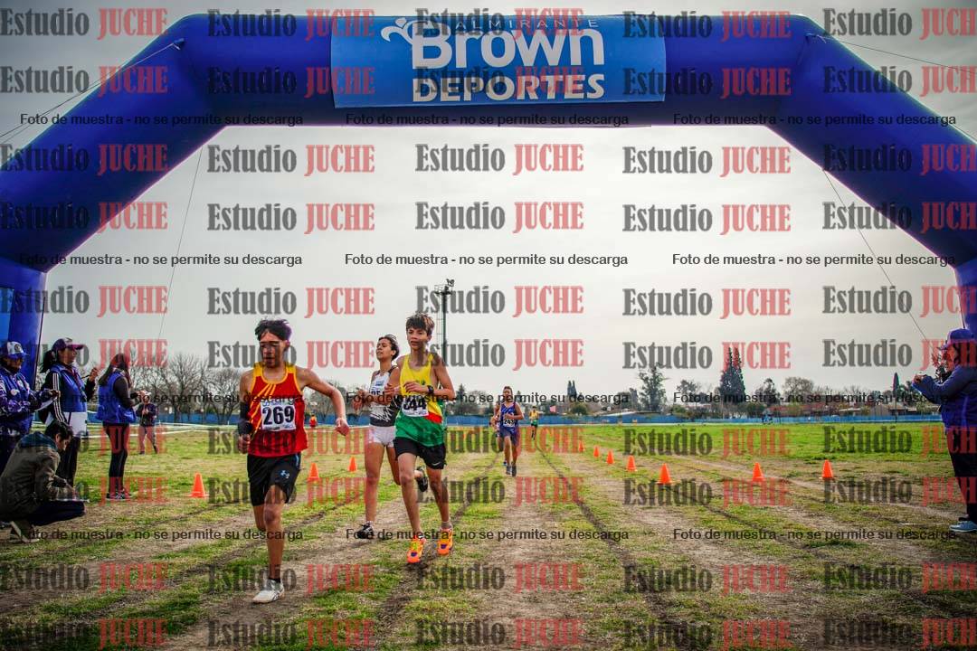Fotos de la llegada del cross de 2000 m