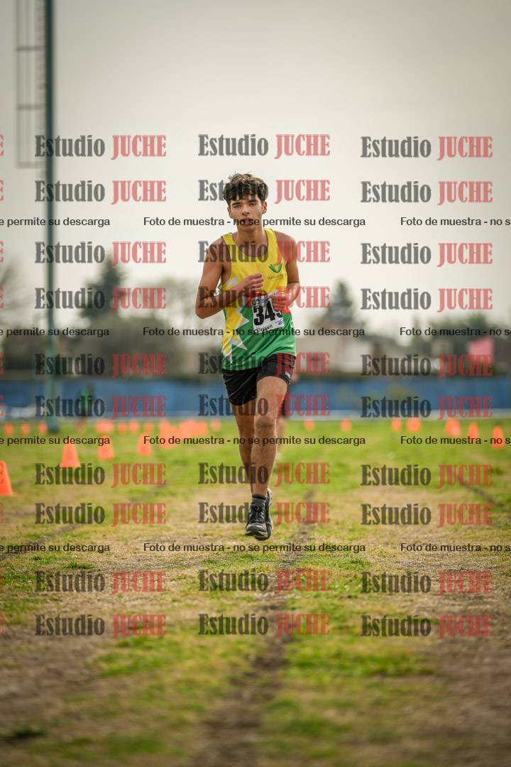 Fotos de la llegada del cross de 2000 m