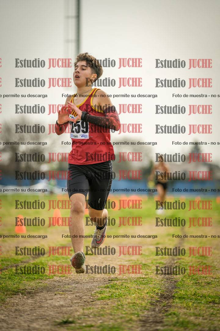 Fotos de la llegada del cross de 2000 m