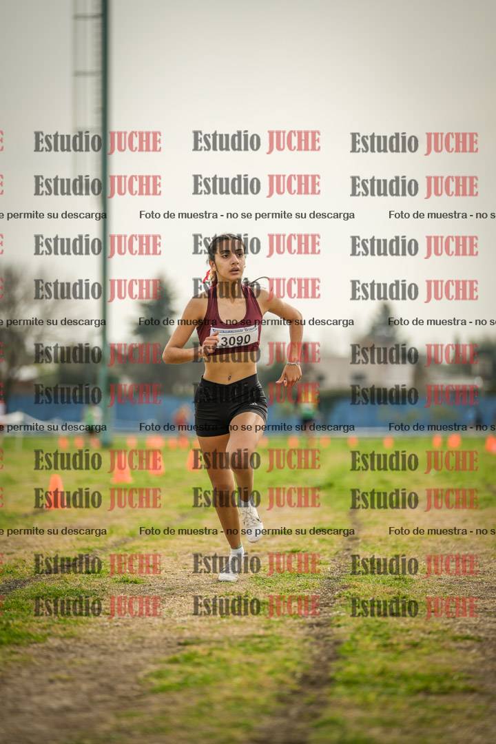 Fotos de la llegada del cross de 2000 m