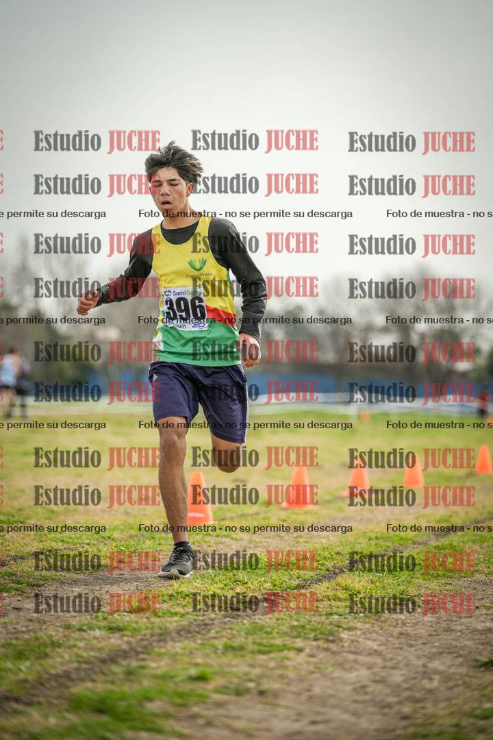 Fotos de la llegada del cross de 2000 m