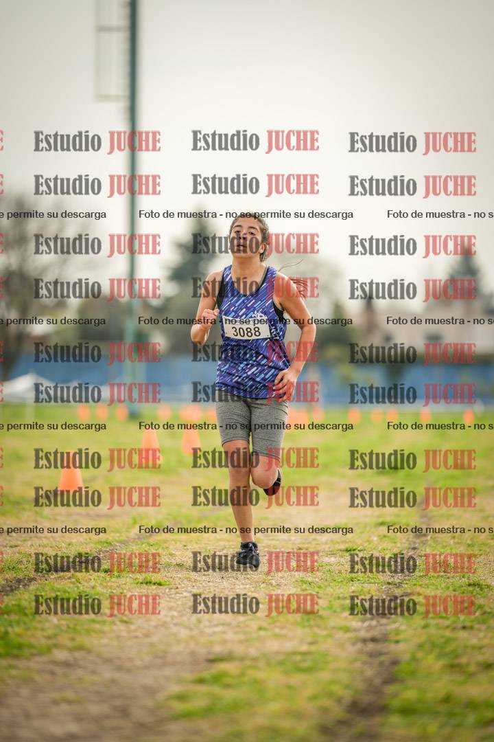 Fotos de la llegada del cross de 2000 m