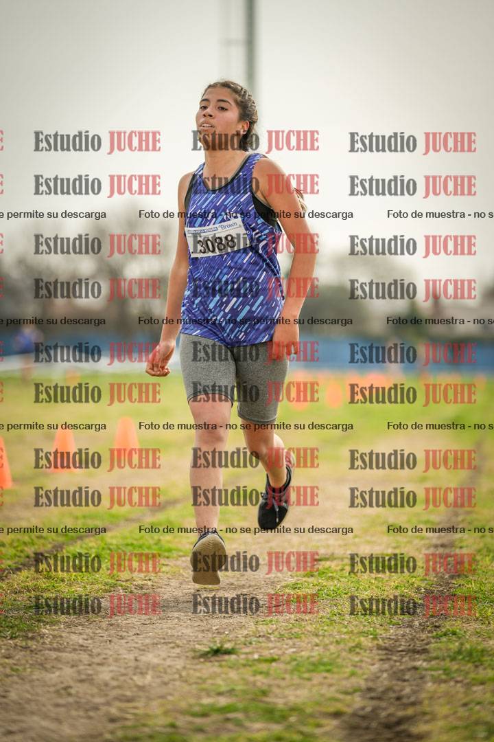 Fotos de la llegada del cross de 2000 m