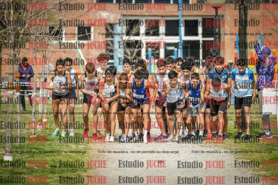Fotos en de la largada