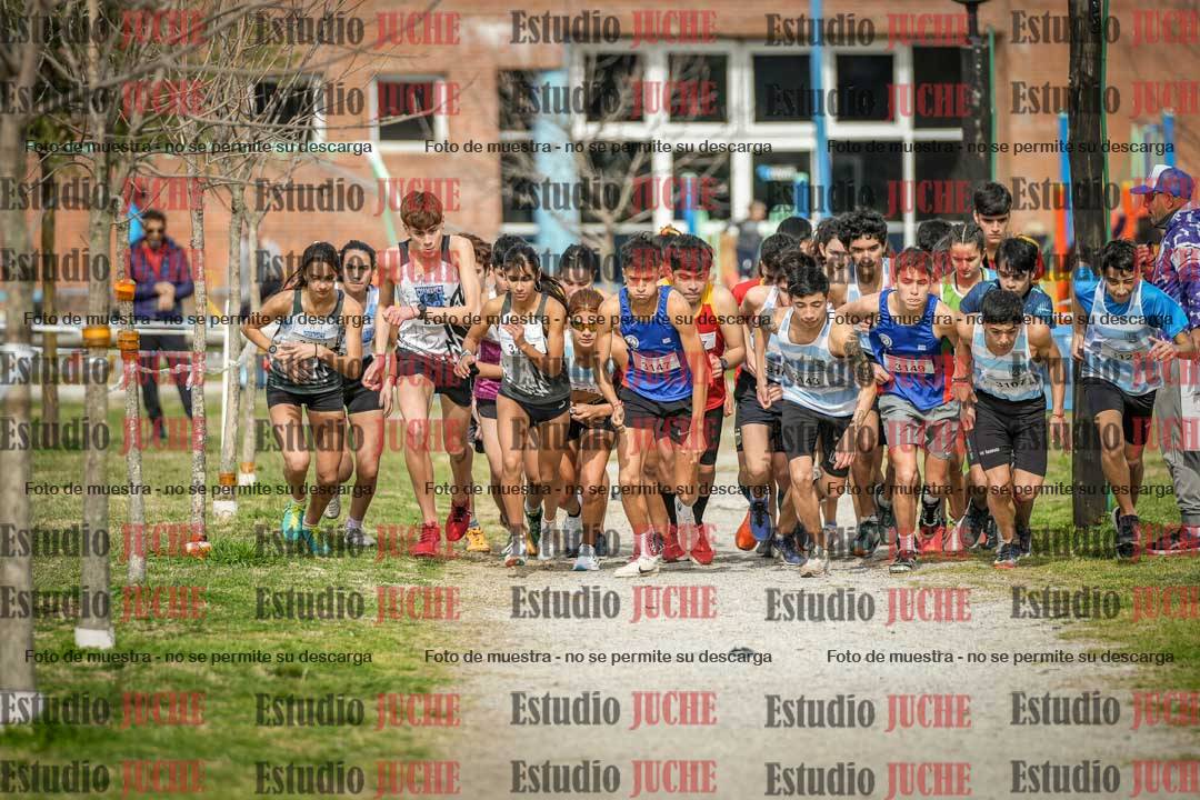Fotos en de la largada