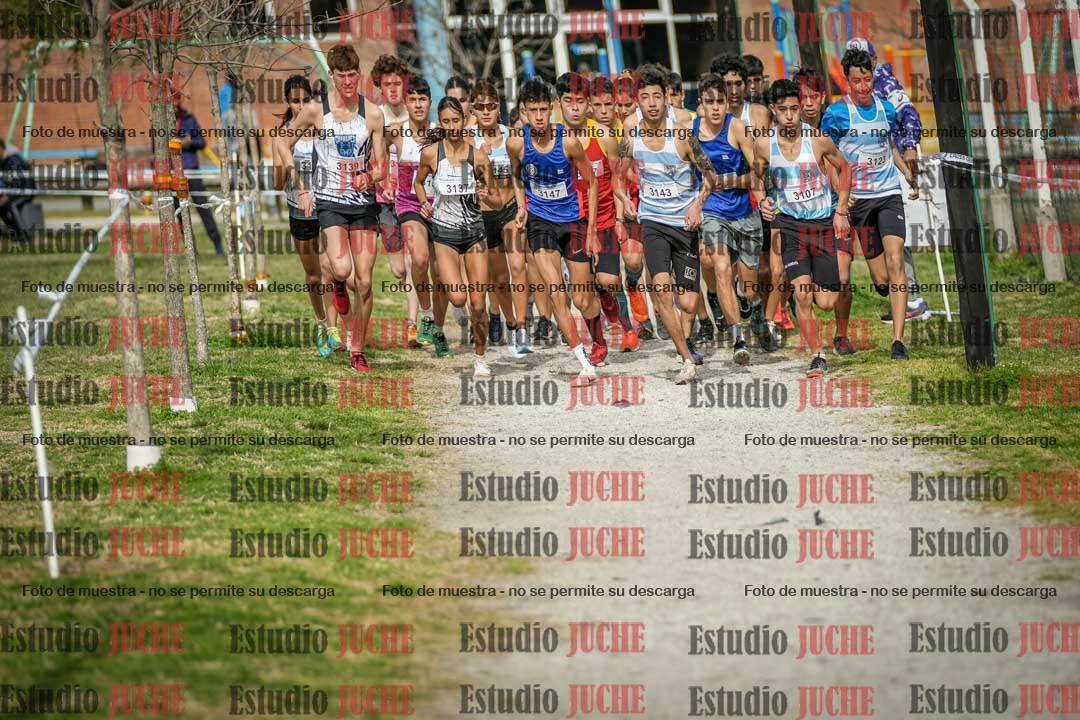Fotos en de la largada