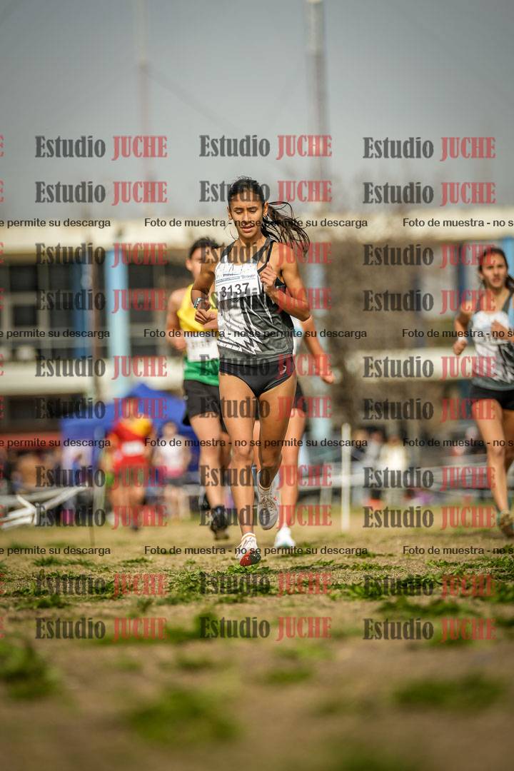 Fotos en el tercer punto del circuito