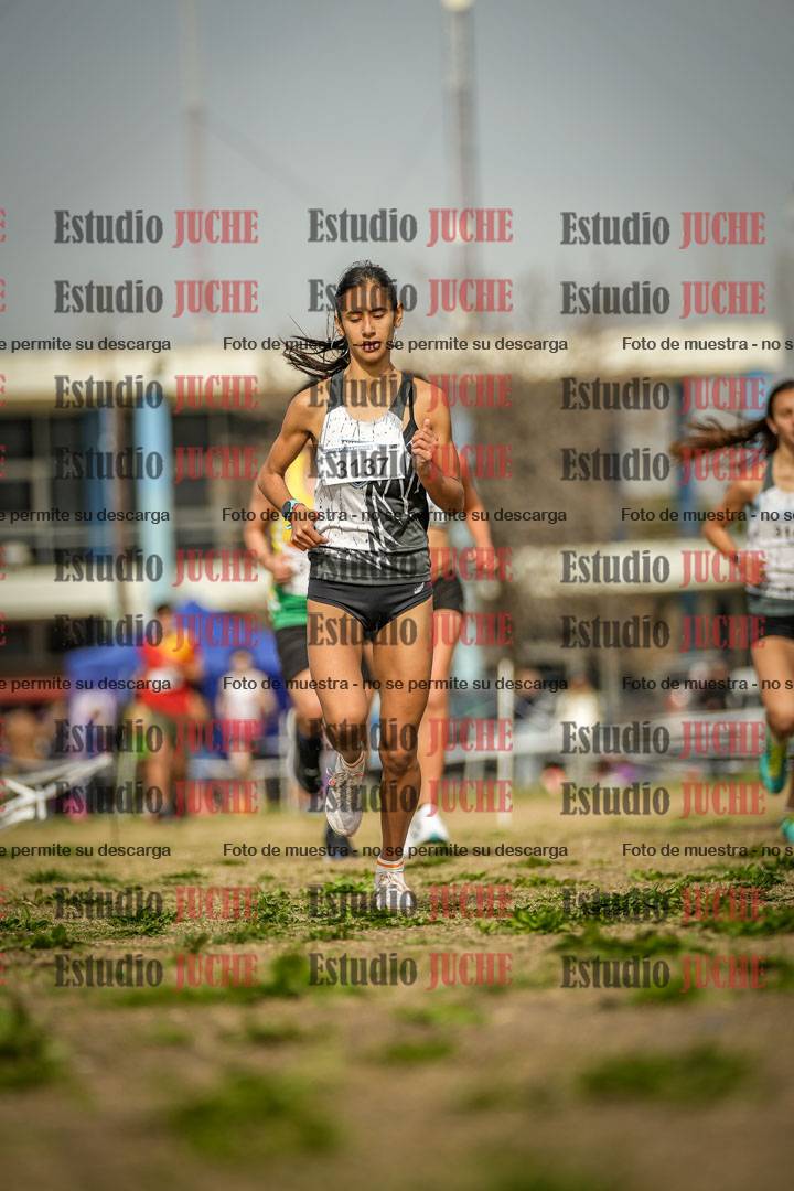 Fotos en el tercer punto del circuito