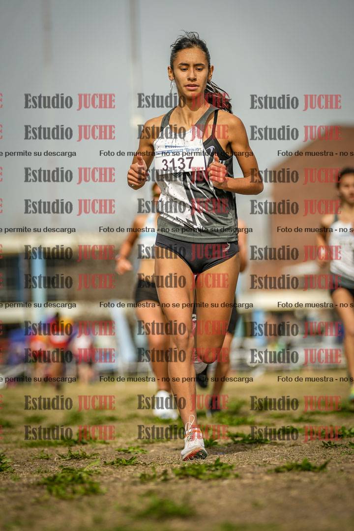 Fotos en el tercer punto del circuito