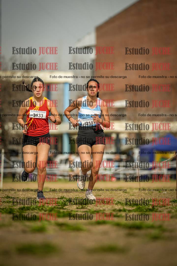 Fotos en el tercer punto del circuito