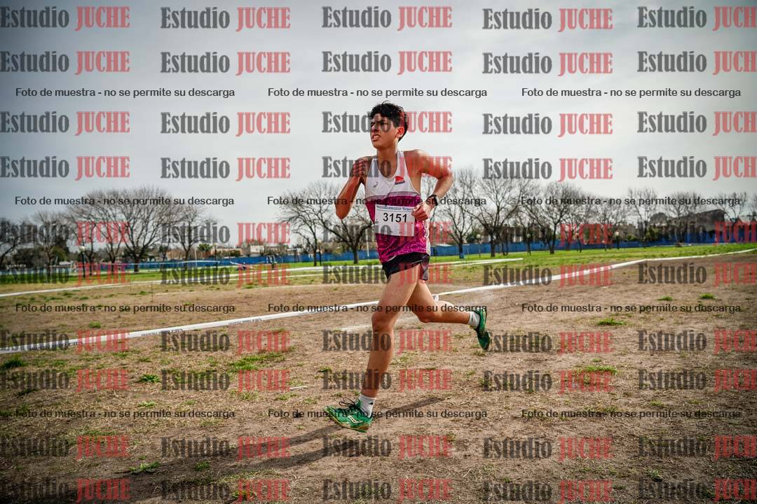 Fotos en el quinto punto del circuito