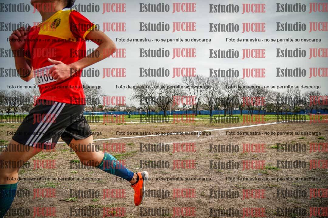 Fotos en el quinto punto del circuito