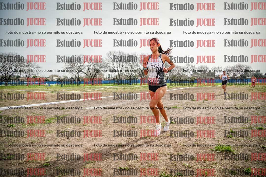 Fotos en el quinto punto del circuito