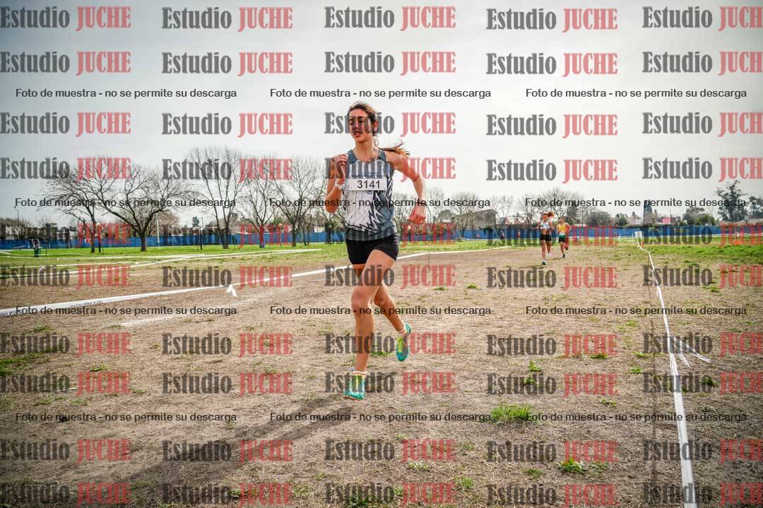 Fotos en el quinto punto del circuito