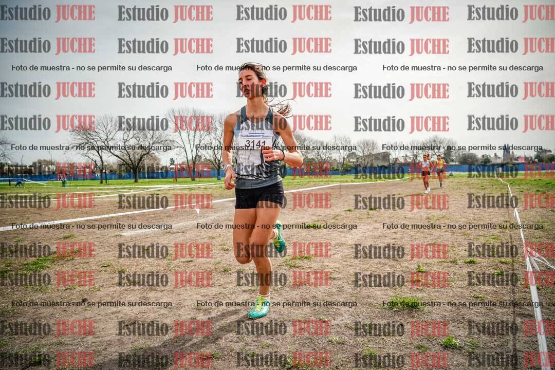 Fotos en el quinto punto del circuito
