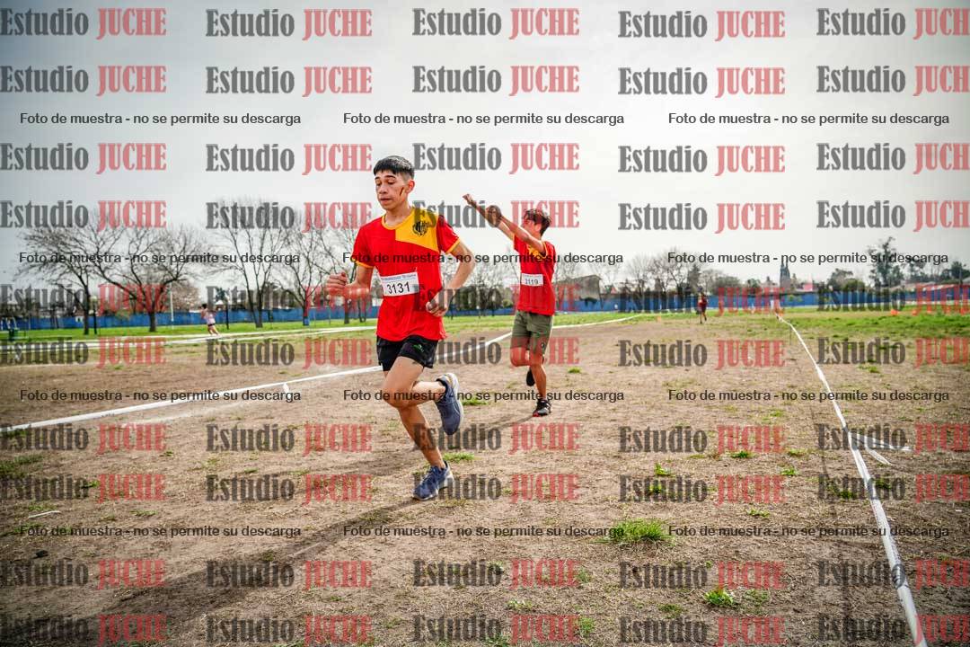 Fotos en el quinto punto del circuito