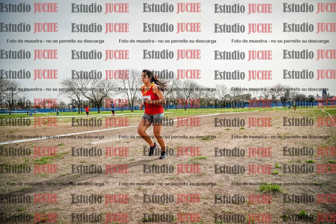 Fotos en el quinto punto del circuito