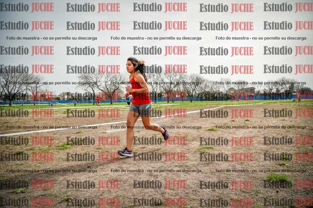 Fotos en el quinto punto del circuito