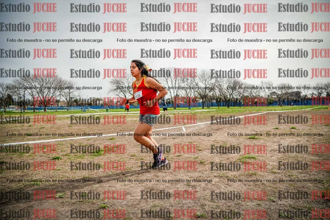 Fotos en el quinto punto del circuito