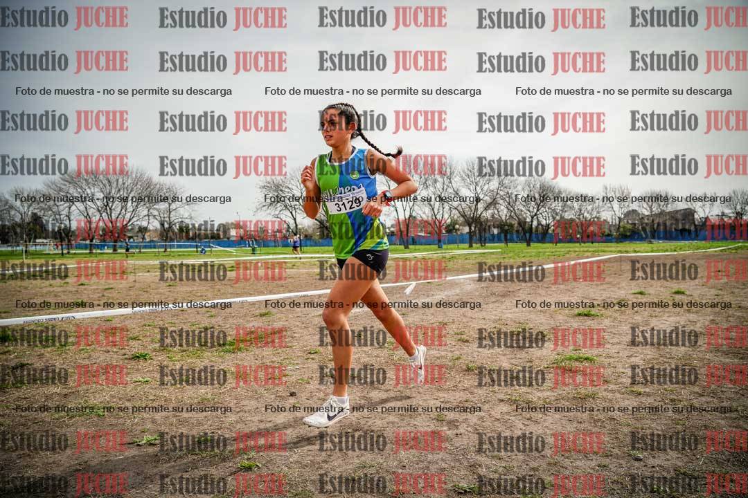 Fotos en el quinto punto del circuito