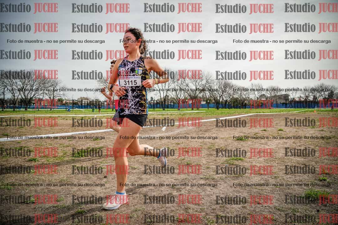 Fotos en el quinto punto del circuito