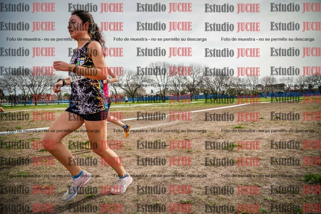 Fotos en el quinto punto del circuito
