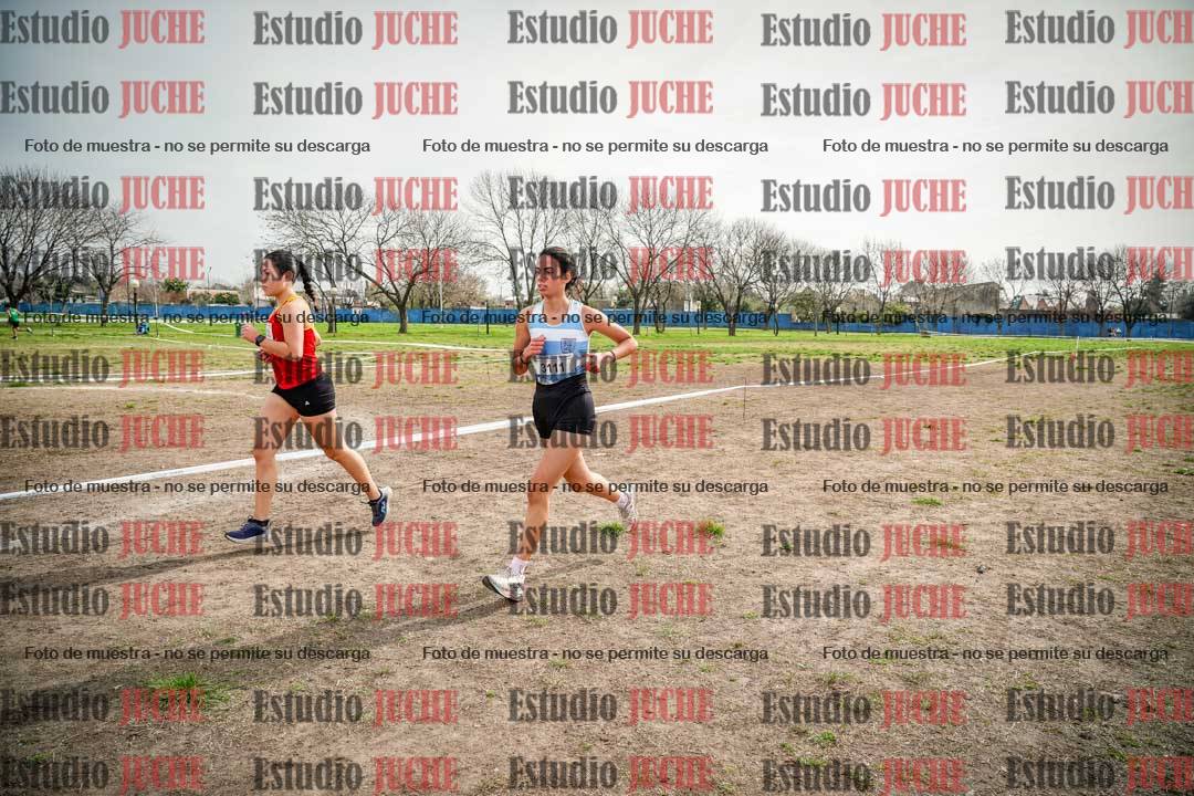 Fotos en el quinto punto del circuito