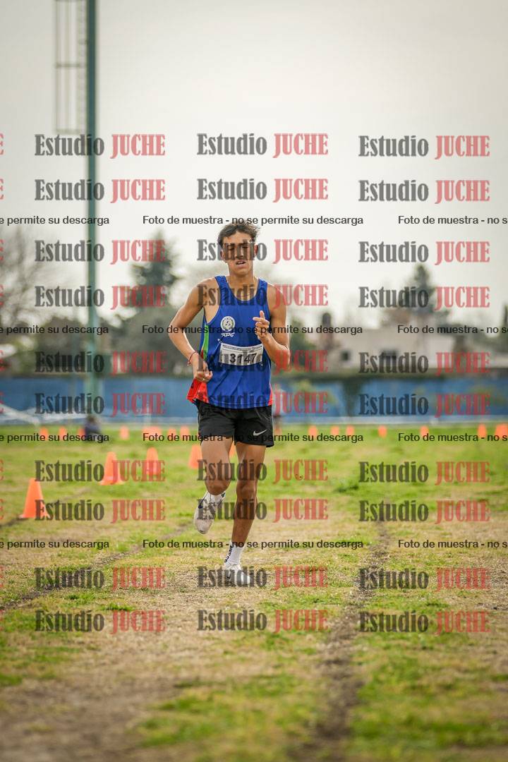Fotos de la llegada del cross de 3000 m