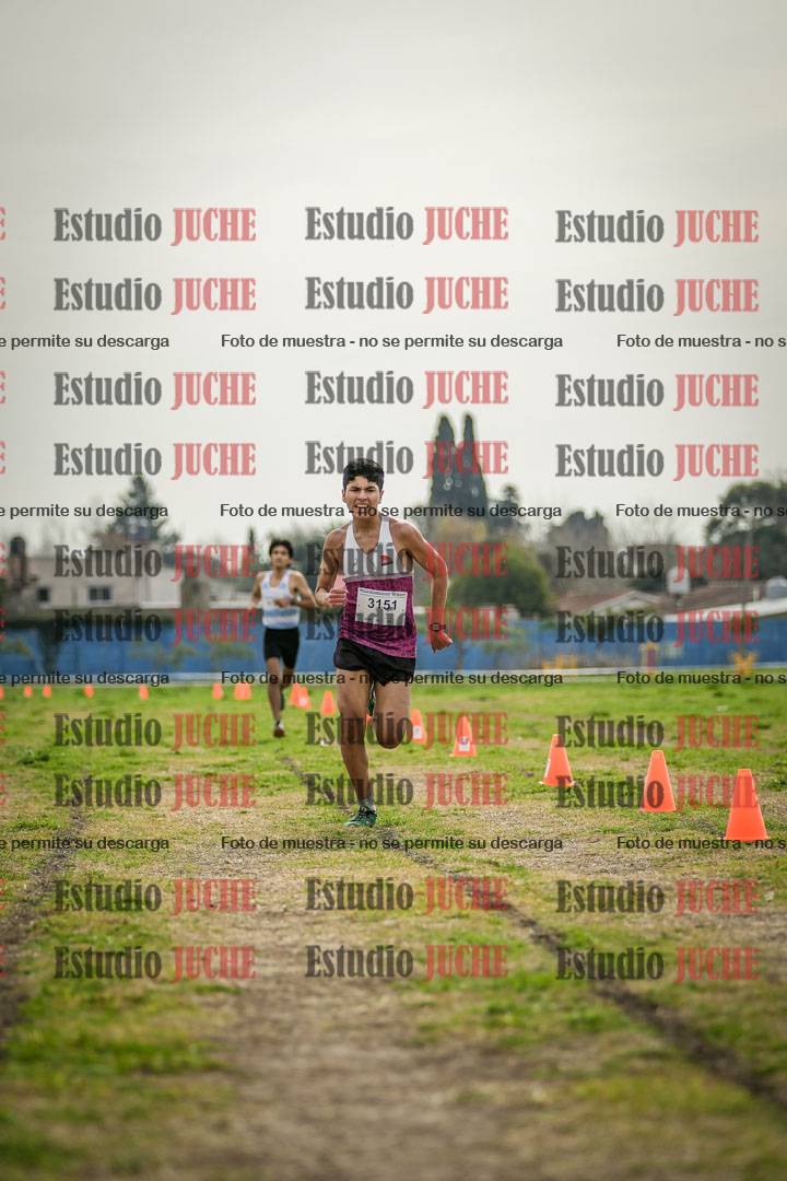 Fotos de la llegada del cross de 3000 m