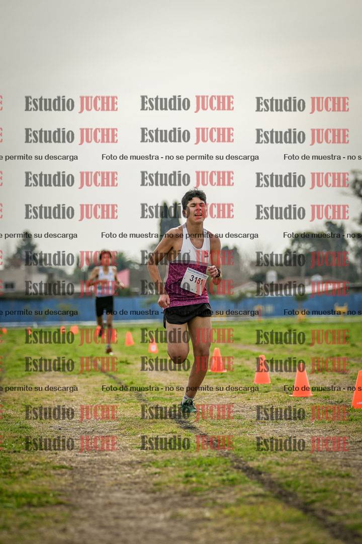 Fotos de la llegada del cross de 3000 m