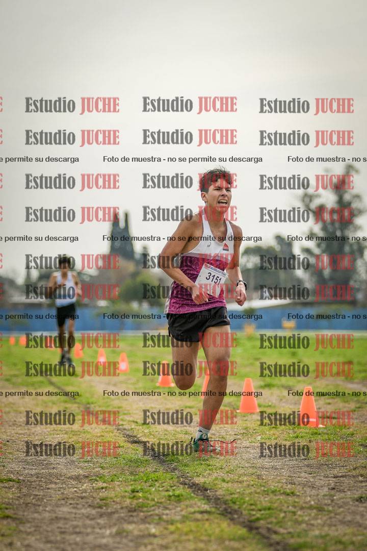 Fotos de la llegada del cross de 3000 m