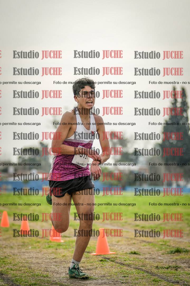 Fotos de la llegada del cross de 3000 m