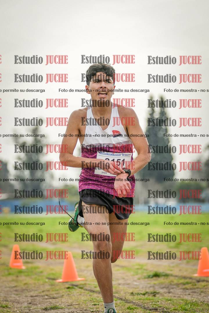 Fotos de la llegada del cross de 3000 m