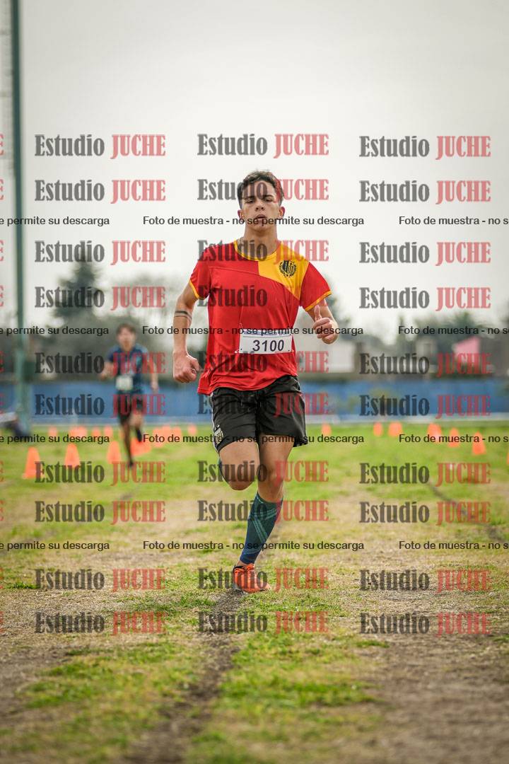 Fotos de la llegada del cross de 3000 m