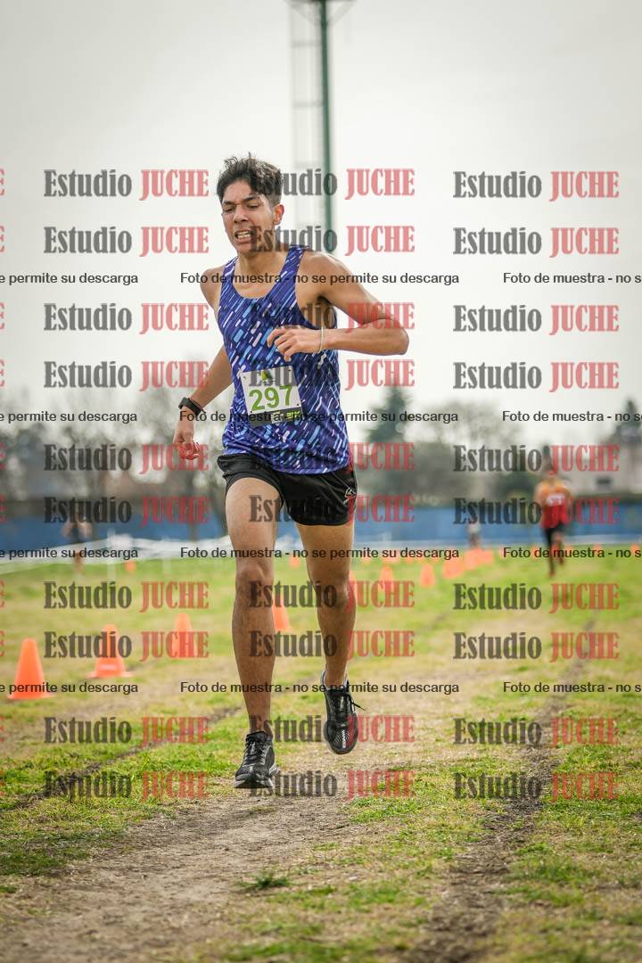 Fotos de la llegada del cross de 3000 m